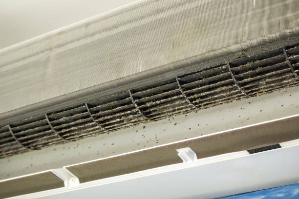 Best Commercial Air Duct Cleaning in East Missoula, MT